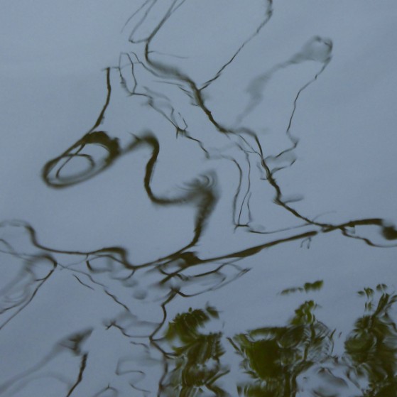 Nature as an abstract painter in Vienna no.8